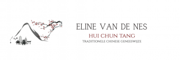 Eline van de Nes, Hui Chun Tang Traditionele Chinese Geneeswijze